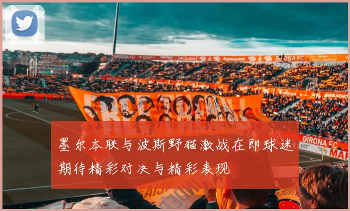 墨尔本联与波斯野猫激战在即球迷期待精彩对决与精彩表现