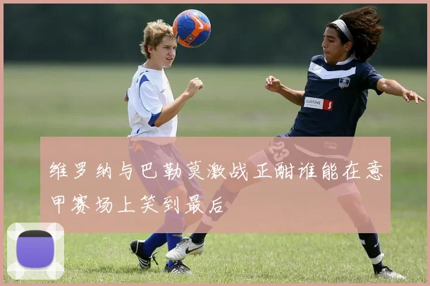 维罗纳与巴勒莫激战正酣谁能在意甲赛场上笑到最后