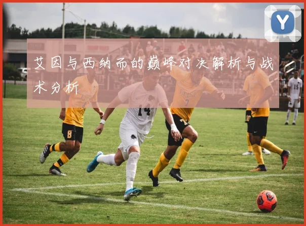 艾因与西纳而的巅峰对决解析与战术分析