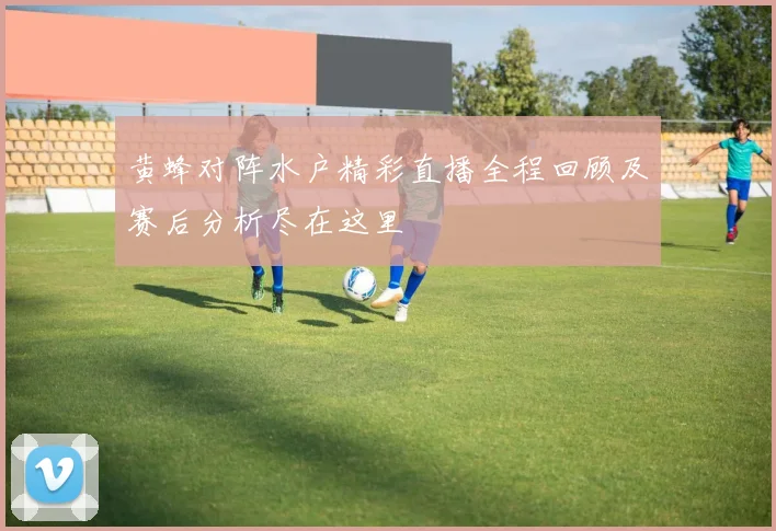 黄蜂对阵水户精彩直播全程回顾及赛后分析尽在这里