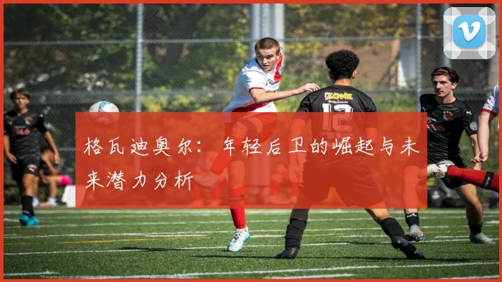 格瓦迪奥尔：年轻后卫的崛起与未来潜力分析
