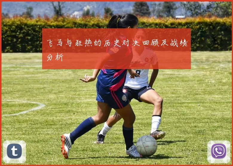 飞马与狂热的历史对决回顾及战绩分析