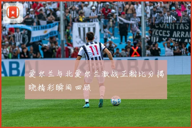爱尔兰与北爱尔兰激战正酣比分揭晓精彩瞬间回顾