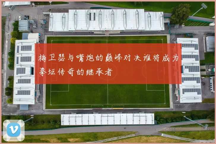 梅卫瑟与嘴炮的巅峰对决谁将成为拳坛传奇的继承者