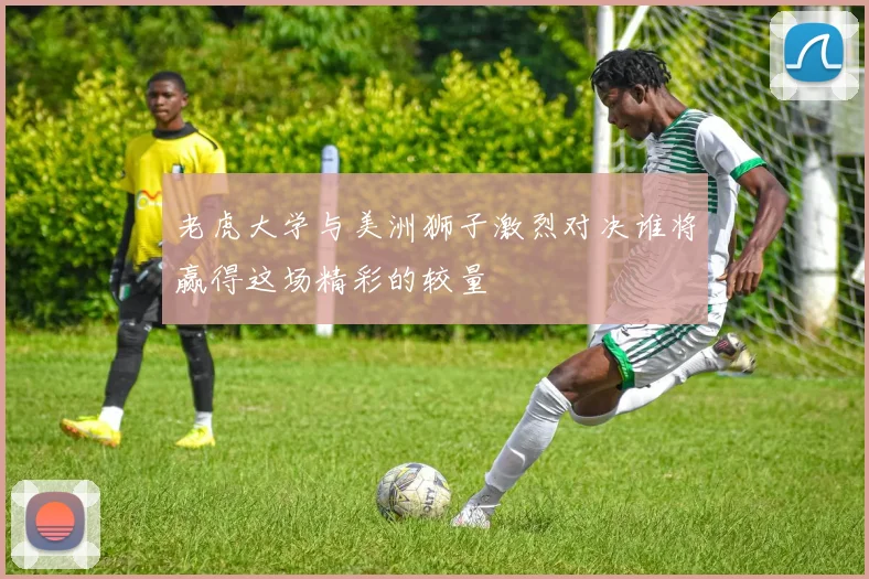 老虎大学与美洲狮子激烈对决谁将赢得这场精彩的较量