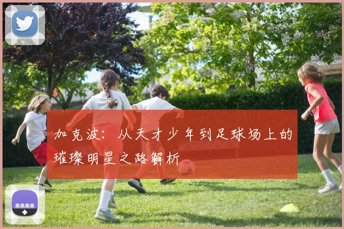 加克波：从天才少年到足球场上的璀璨明星之路解析